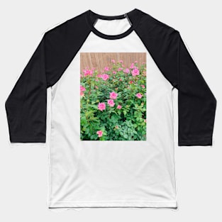 Pink  roses Baseball T-Shirt